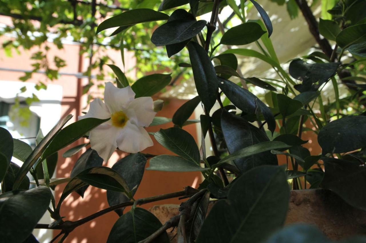 Casa Cifali Pensión Taormina